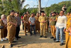 Bupati Tanggamus Tinjau Program Garam Bantuan Turki, Siapkan Sentra Produksi Baru di Limau