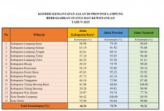 Pemprov Lampung Targetkan 200 Km Jalan Mulus, Jalan Kabupaten Masih Tertinggal