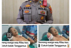 Kabar Mengenai Warga Diserang Buaya di Way Rilau Tanggamus Dipastikan Hoaks 