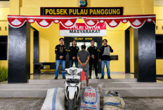 Curi Kopi yang Dijemur, Pria 51 Tahun di Ulu Belu Ditangkap Polisi