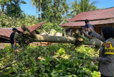 Puting Beliung Terjang Wonosobo Tanggamus, 13 Bangunan Rusak