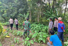 Masuki Hari Ke 5 Pencarian Mbah Kaliman, Tim Gabungan Kerahkan Anjing K9 