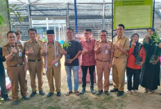 Bupati Tanggamus Dorong Hilirisasi Kakao dan Kopi, Targetkan Industri Pengolahan Hadir di Daerah
