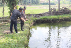 Tragis Bocah 8 Tahun di Pringsewu Tewas Tenggelam di Kolam Ikan, Diduga Terpeleset Saat Bermain