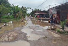 Warga Wonodadi Pringsewu Gelar Aksi Desak Pemda Perbaiki Kerusakan Jalan