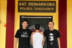 Polres Tanggamus Ringkus Pengedar Sabu di BNS, Satu Pemasok Masuk DPO