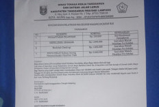 Nama Disnaker Tanggamus Dicatut Program Magang ke Jepang Biaya Rp8,1 Juta