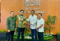 PWI Lampung Audensi ke BRI Region 5 Terima Audensi Perkuat Sinergitas