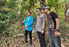 Rangga Putra Hakim Tinjau Jembatan Putus di Pulau Tabuan