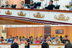 Pemkab Tanggamus dan Ombudsman Perkuat Sinergi, Pelayanan Publik Jadi Sorotan