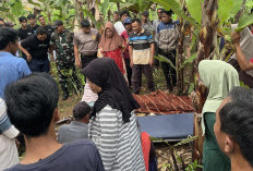 Pria Lansia Ditemukan Tewas di Kebun, Polisi Pastikan Tak Ada Tanda Kekerasan