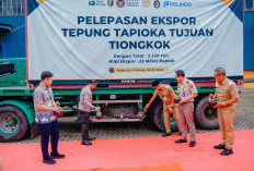 3.330 Ton Tapioka Lampung Diekspor ke China