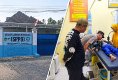 Puluhan Siswa Tanggamus Diduga Keracunan Usai Santap MBG, Sampel Makanan Diuji