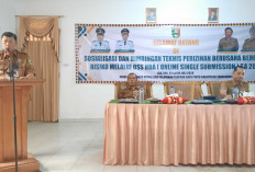 Pemkab Tanggamus Dorong Perizinan Berusaha Lebih Cepat Melalui OSS-RBA