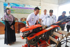 Dukung Swasembada Pangan, Bupati Pringsewu Serahkan 20 Traktor untuk Kelompok Tani