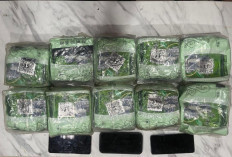 Polda Lampung Gagalkan Penyelundupan 10,63 Kg Sabu Asal Aceh