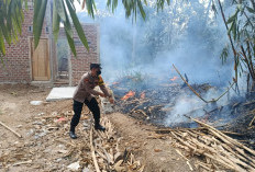 TNI/Polri dan Warga Berjibaku Padamkan Api di Lahan  Perkebunan Jati Ambarawa