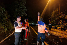Longsor  Batu Keramat, BPBD Tanggamus Sigap Bersihkan Material Demi Kelancaran Lalin