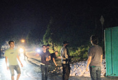 Truk Muatan Batu Bata Terbalik dan Terbakar di Way Gelang