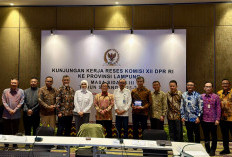 Komisi XII DPR RI Dorong Percepatan Pengembangan Panas Bumi di Lampung