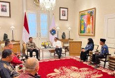 Parosil dan Gubernur DKI Bertemu, Bahas Kerjasama Strategis 