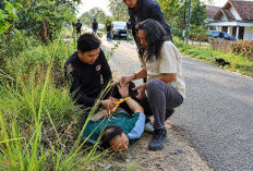 Dramatis! Polisi Gerebek 6 Lokasi Narkoba di Pringsewu, Kejar-kejaran Berujung Penangkapan Dua Pria