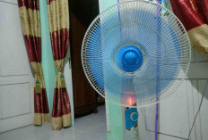 Tips Membersihkan Kipas Angin Tanpa Membongkar Total 