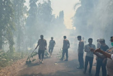  Kebakaran Lahan di Batu Tegi Tanggamus Hanguskan 1,5 Hektare, Kerugian Rp80 Juta
