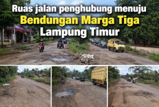 Jalan Nyampir–Tanjung Harapan Rusak Parah, Warga Desak Pemprov Lampung Bertindak