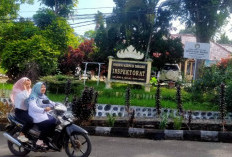 Fantastis! Perjalanan Dinas Inspektorat Tanggamus Capai Rp341 Juta, BPK Soroti Kelebihan Bayar