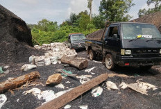 Warga Pekon Penyandingan Resah Tambang Batu Bara Ilegal, Minta Kapolres Tanggamus Bertindak