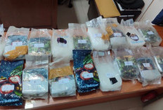 Polda Lampung Gagalkan Penyelundupan Sabu 17,29 Kg Senilai Rp25,5 M di Exit Tol Bakauheni