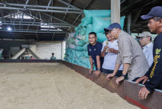 Bed Dryer Beroperasi di Rawa Jitu Selatan, Harga Gabah Bisa Tembus Rp8.500/Kg