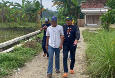 Biadab! Paman di Pringsewu Cabuli Keponakan Usia 5 Tahun