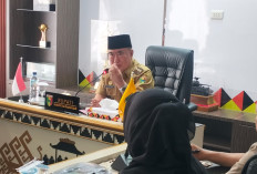 Bupati Tanggamus Minta Program Pengembangan Kopi Fokus Tingkatkan Produktivitas Petani