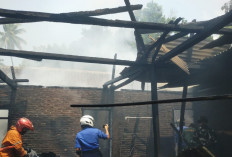 Rumah Warga di Kota Agung Terbakar, Kerugian Ditaksir Capai Rp150 Juta