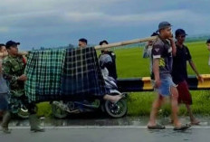 Sempat Dikira Tersambar Petir, Petani Lansia  Meninggal di Sawah Karena Sakit