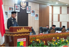 Pendapatan Tanggamus 2025 Capai Rp1,63 Triliun