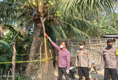 Lansia di Ambarawa Nekat Akhiri Hidup,  Keluarga Ungkap Keluhan Gagal Panen dan Ekonomi