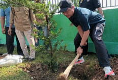 Bupati & Wabup Pringsewu Tanam Pohon Lohansung di Halaman Masjid Pemda