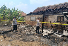 Bakar Sampah Ditinggal, Rumah Warga Margodadi Pringsewu Ludes Terbakar