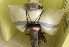 Patroli Dini Hari, Polisi Gagalkan Dugaan Pencurian Kopi di Ulu Belu