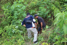 Pelaku Pembunuhan Pria di Persawahan Pekon Soponyono Ternyata Residivis Kasus Curas