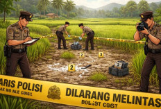 Tragis, Satu Hari Jelang Lebaran Pemuda Tanggamus Tewas Ditusuk Teman Sendiri di Area Persawahan