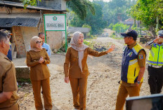 Wagub Jihan Tinjau Pembangunan Jalan Kasui–Air Ringkih