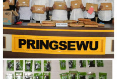 Berawal dari Pelanggaran Helm, Polisi Pringsewu Amankan 43 Paket Tembakau Sintetis