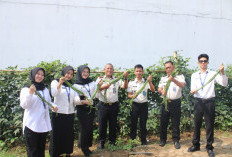 Panen 30 Kg Kacang Panjang, Lapas Kotaagung Perkuat Pembinaan dan Ketahanan Pangan