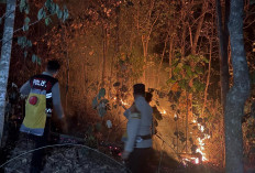 Api Kembali Muncul di Bukit Tambahrejo, Tim Gabungan Berjibaku hingga Tengah Malam