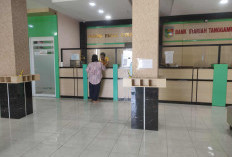 Kredit Macet BPRS Tanggamus Hampir Rp3 M Tuai Sorotan, Bupati Diminta Evaluasi Manajemen