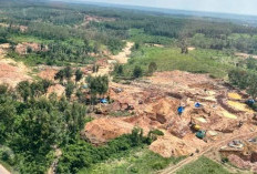 Kejati Lampung Teliti Berkas Tahap I Kasus Tambang Emas Ilegal Way Kanan